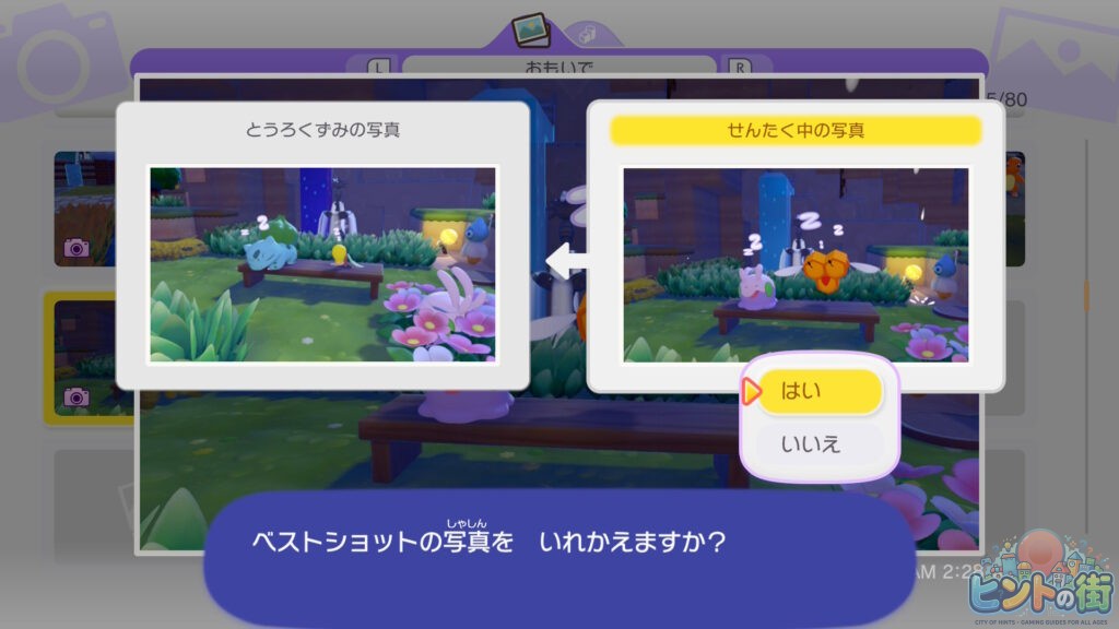 ぽこぽけ　ベストショット 説明
